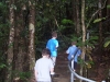 Daintree forest walk